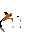 Rough Collie