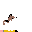 Sheltie